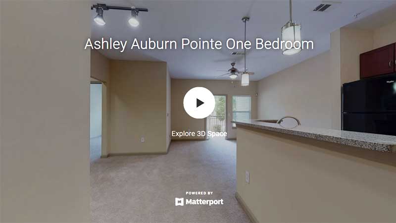 Ashley Auburn Pointe One Bedroom